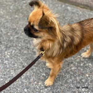 Hundkoppel i läder, Small / Large