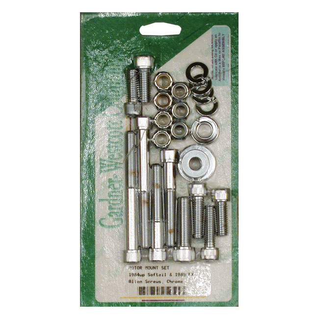 MOTOR MOUNT SCREW KIT, ALLEN