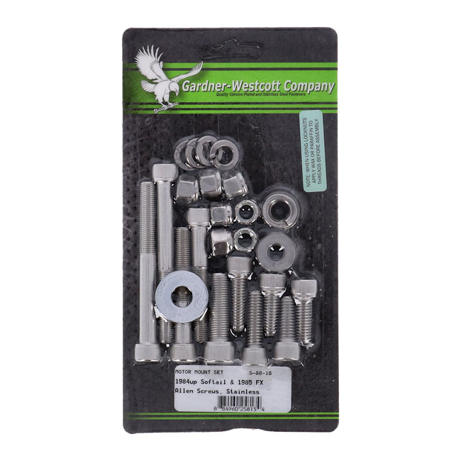 MOTOR MOUNT SCREW KIT, SS ALLEN