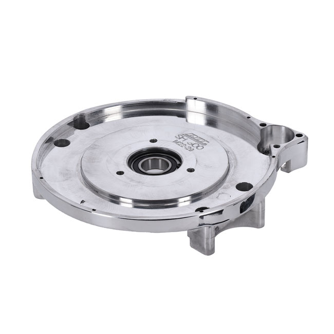 BDL REPL MOTOR PLATE