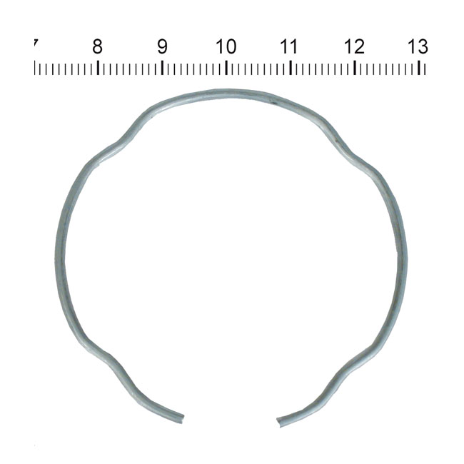 James, retaining ring for fork seal