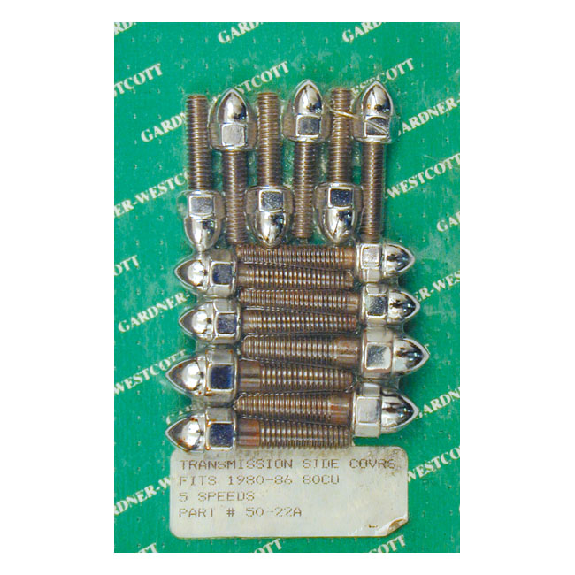 TRANSM. SIDE COVER NUT KIT, ACORN