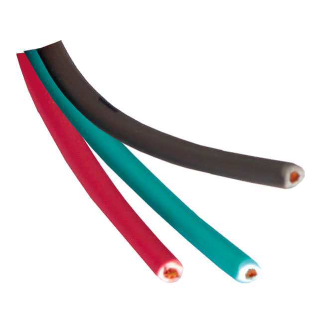 CYCLE ELECTRIC REGULATOR