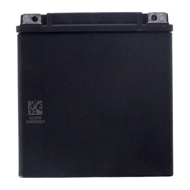 MCS, Advance Series - AGM sealed battery. 12V, 30Ah, 400CCA