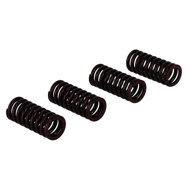 VALVE SPRING SET