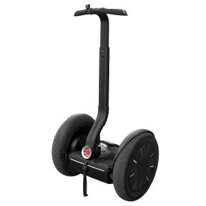 Segway Basic