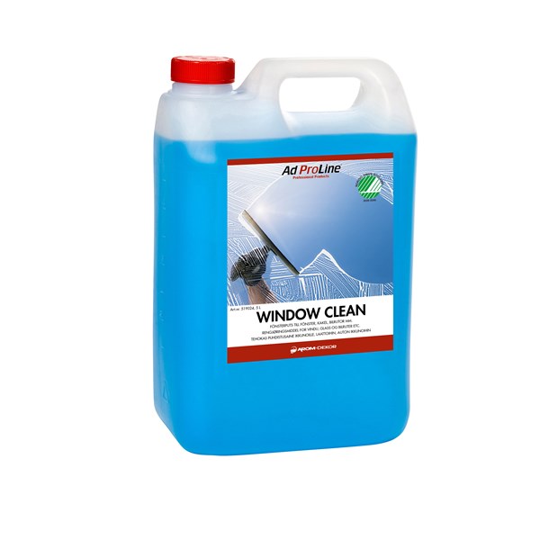Window Clean 5 Liter