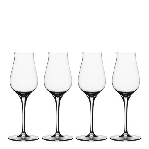 Authentis Digestive Whiskyprovarglas 4-pack