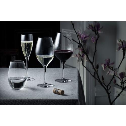 More Champagneglas 18 cl 4-pack