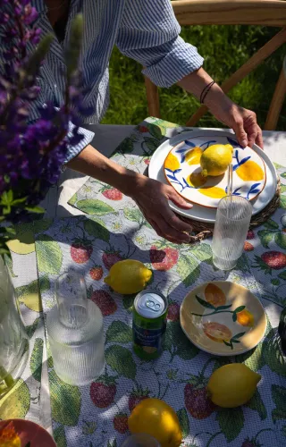 Jordgubbar Bordslöpare