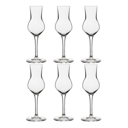 Atelier Grappaglas 8 cl 6-pack