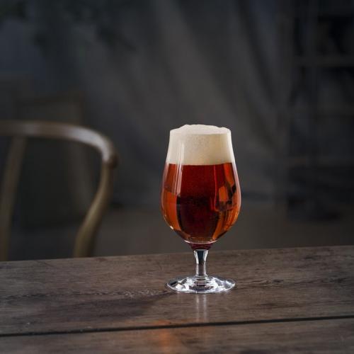 Beer Ölprovarglas 47 cl 4-pack