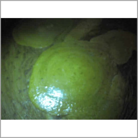 Production of Terra Rosa Aleppo soap, Savon d'Alep soap with Laurel Berry oil. Buy online from Casa Zeytin