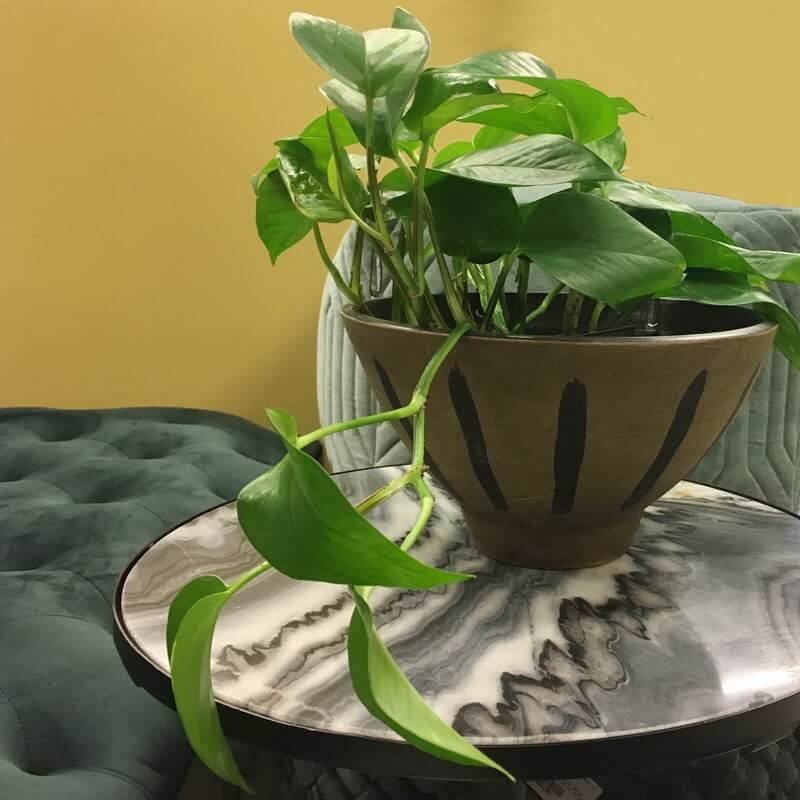 ByOn Big Bowl Stripes