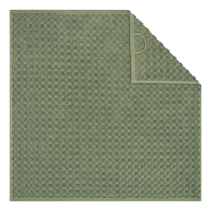 Cawö Cuisine Pro kitchen towels 2-pack plain olive green 50×50 cm 520-497