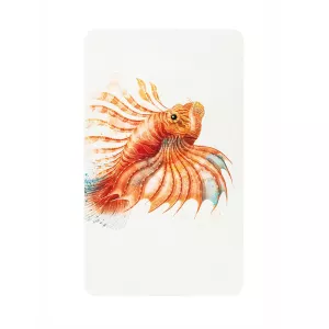 Graccioza Lionfish Lyxig Strandhandduk 100x180 cm – Färgstark Bomull 650 GSM