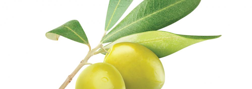 Hudvårdsprodukter Olivolja Naturliga ingredienser från Casa Zeytin