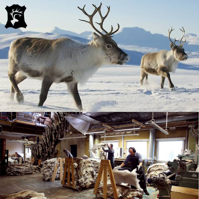Sittdyna Stolsdyna av Renskinn från Kero Leather i Lappland