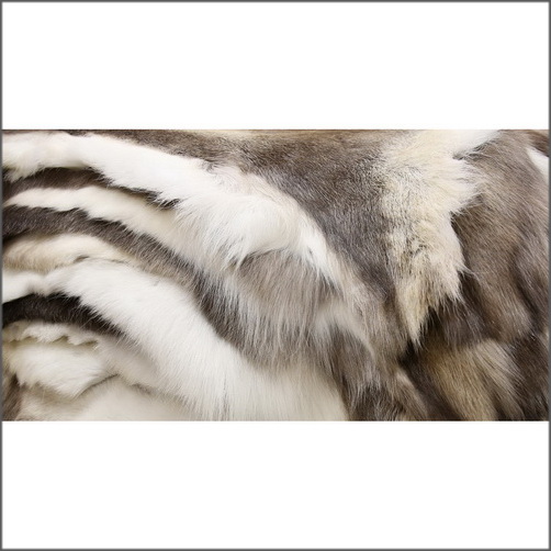 Real Swedish Reindeer Skin Rug Hide Fur at Good Price from the Nordic Arctic Climate