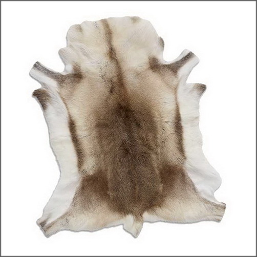 Real Swedish Reindeer Skin Rug Hide Fur at Good Price from the Nordic Arctic Climate