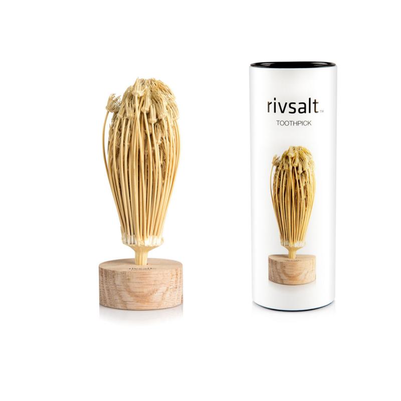 Present set Rivsalt Tandpetare TOOTHPICK och bordsställ av ekträ