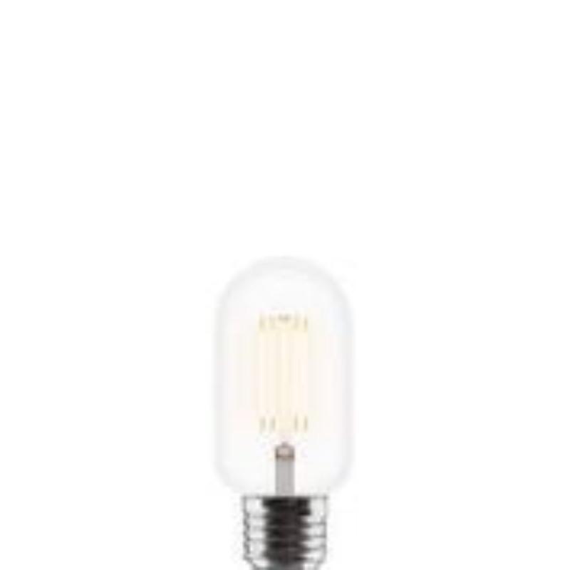 Edison's Idea LED light bulb 2W
