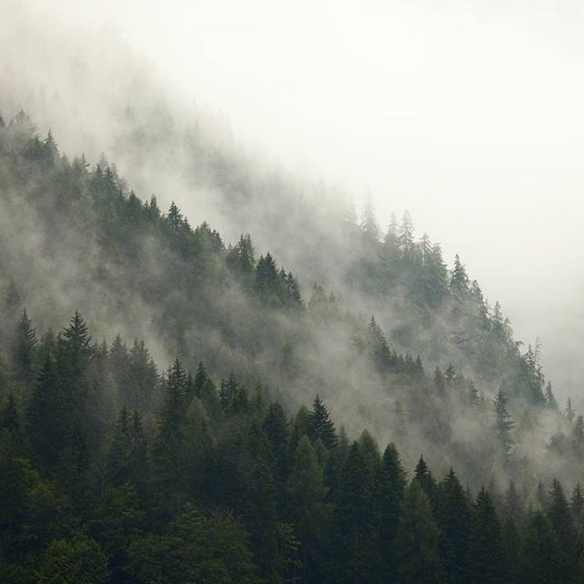 Vakinme - Natural home & body care products of certified organic raw ingredient from  the Swedish westcoast. Åkermynta, Björktuva, Daggmossa