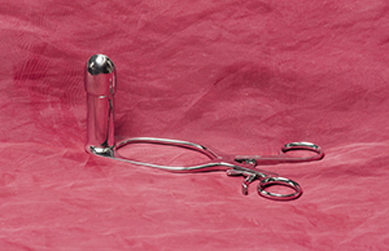 2 delad Anal Speculum