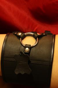 Ben Strap on harness