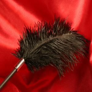 Close-up of the feather from Chambers of Love's Feather Tickler – designed to provide tickling and sensual experiences during BDSM sessions.