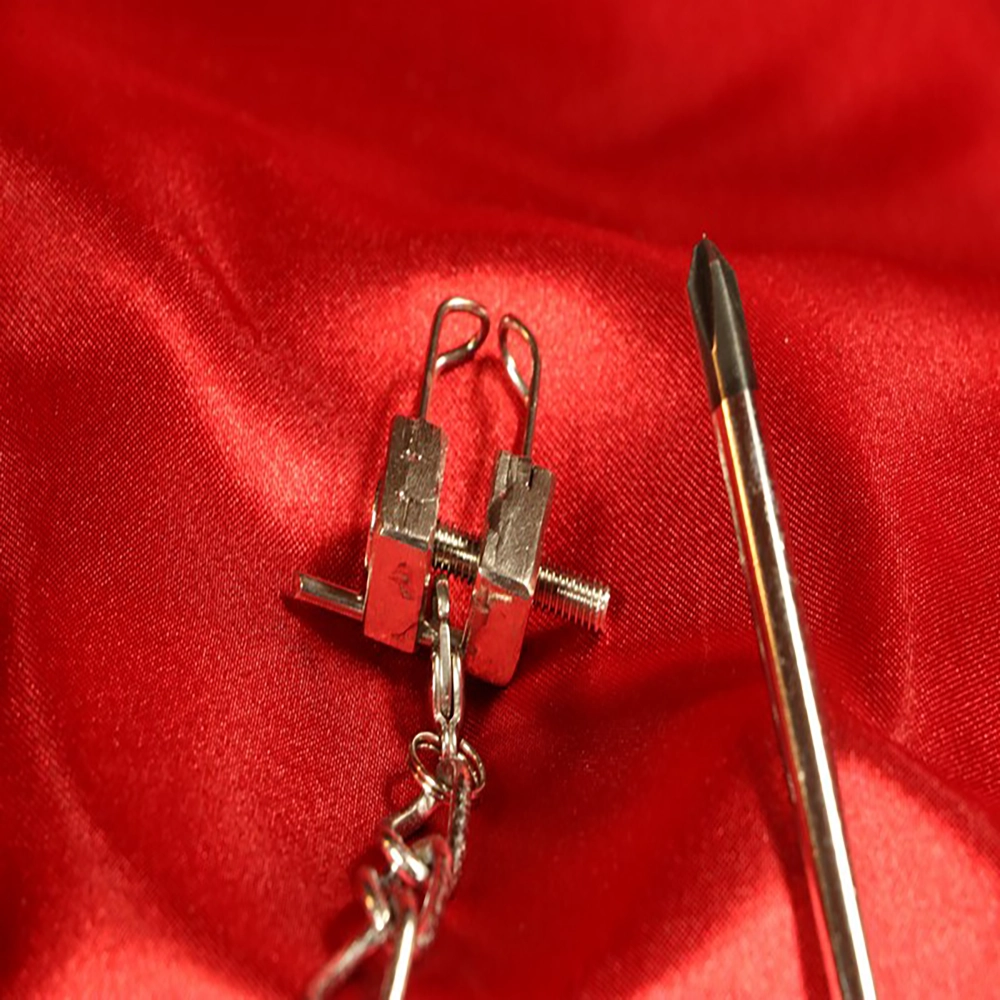 Detaljbild av näsklämma med koppel från Chambers of Love i rostfritt stål. Elegant design och högkvalitativ finish.