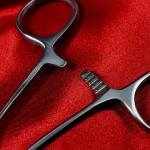 Detail shot of medical clamp (pean) from Chambers of Love, close-up of the serrated locking mechanism showing the six lock positions for precise pressure control.