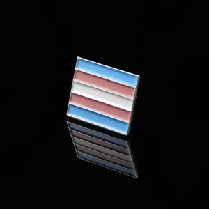Pins Transgender från Chambers of Love. Exklusiv pin som uttrycker stolthet och tillhörighet till transcommunityt.