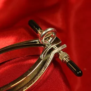 Lähikuva häpyhuuliklipsistä talutushihnalla Chambers of Lovelta – esittelee tukevan ruostumattomasta teräksestä valmistetun kiinnitysmekanismin turvalliseen ja mukavaan käyttöön.