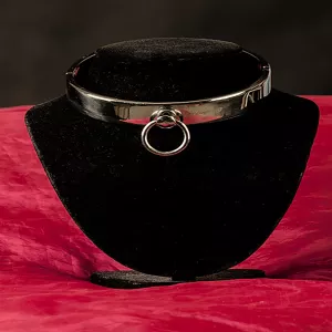 Ruostumattomasta teräksestä valmistettu kaulapanta, 20 x 105 mm, peilikiillotetulla pinnalla Chambers of Lovelta, tuotenumero ASB10020105A. Ylellinen ja elegantti muotoilu BDSM-leikkeihin, keskittyen tyyliin ja mukavuuteen.