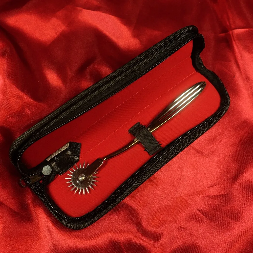 Close-up of single-wheel Wartenberg wheel in stainless steel from Chambers of Love, stored in its case – classic medical precision instrument for sensual stimulation.