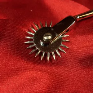 Lähikuva yksipyöräisestä Wartenberg-pyörästä, ruostumaton teräs, Chambers of Love – klassinen lääketieteellinen tarkkuusväline aistilliseen stimulointiin.