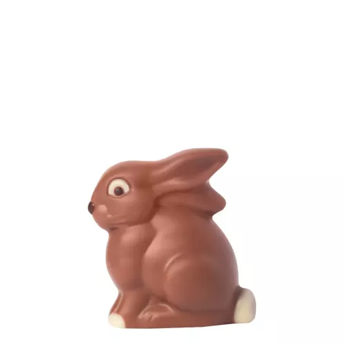 Liten sittande hare av mjölkchoklad
