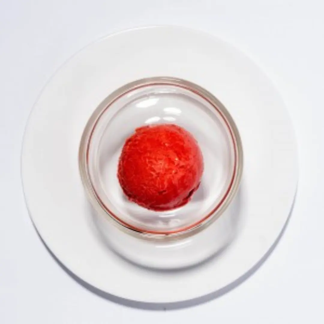 Pacojet sorbet