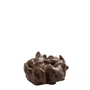 Rocaille Noir - Mörk pralin från Cluizel