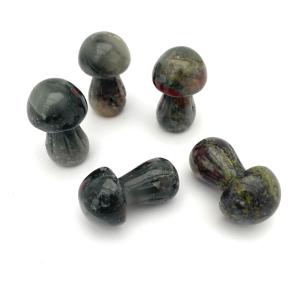 svamp drakblods jaspis