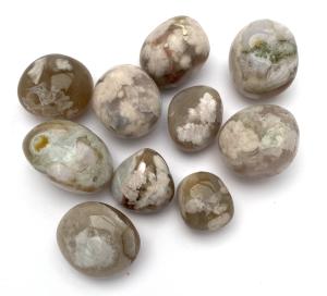 Blomsteragat cuddles