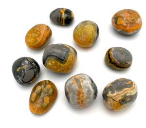 Bumblebee jaspis cuddle