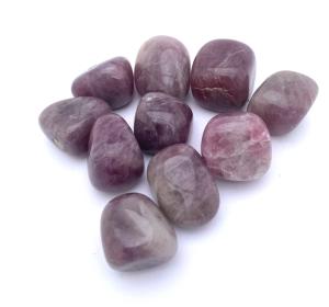 Rosa ametist cuddles