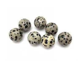 DALMATINER JASPIS KULA