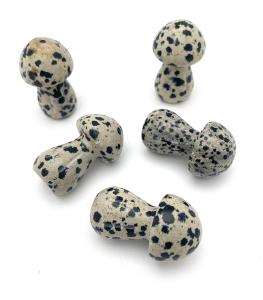 svamp dalmatiner jaspis