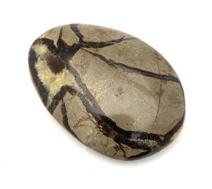 Septarian draksten Handsten
