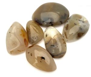 Dendritagat  trumlad large