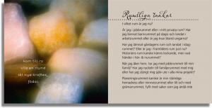 BOK BARA VARA - EN LITEN BOK OM ATT NJUTA AV LIVET