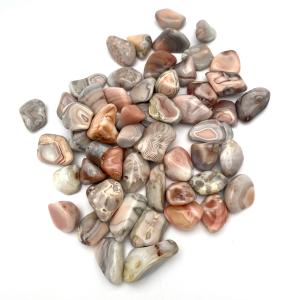 Rosa Botswana agat trumlat